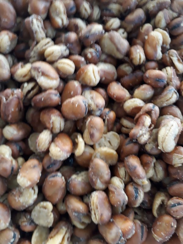 PHOTO-2020-12-01-15-09-19 (1)