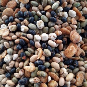 Misto Legumi (non disponibile)