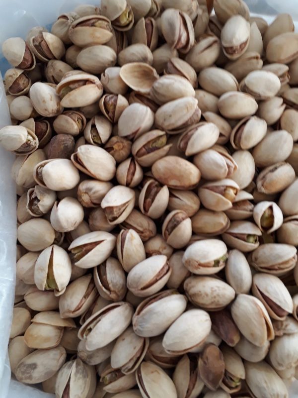 PHOTO-2020-12-01-15-09-20 (1)