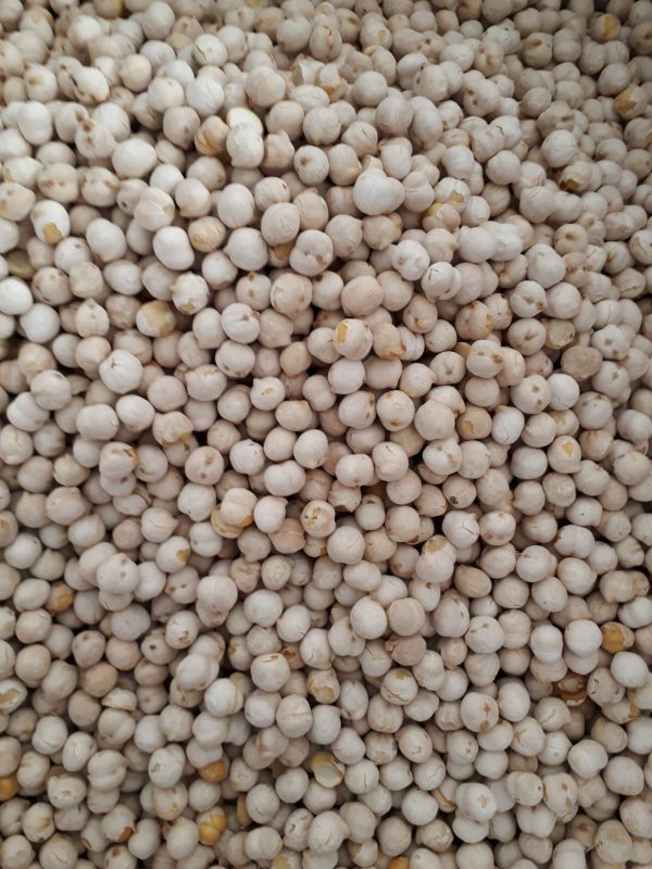 PHOTO-2020-12-01-15-09-20 (2)