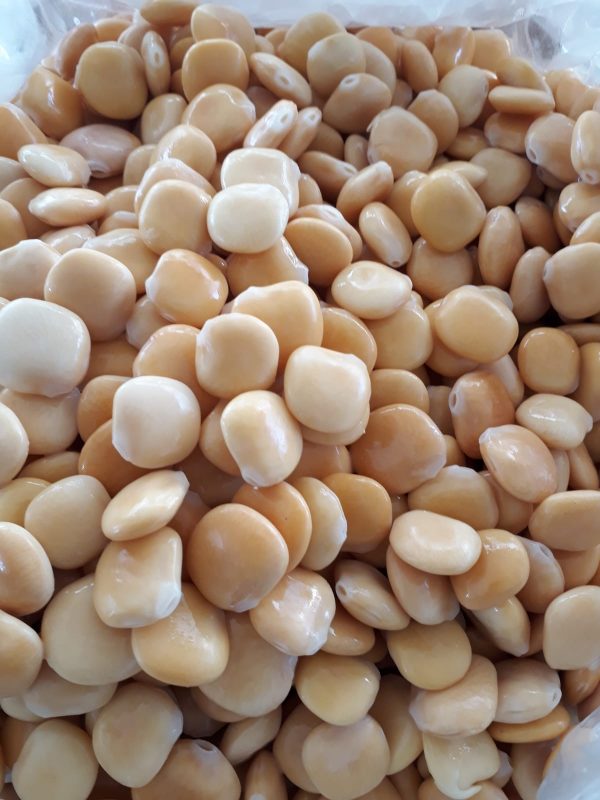 PHOTO-2020-12-01-15-09-21 (1)