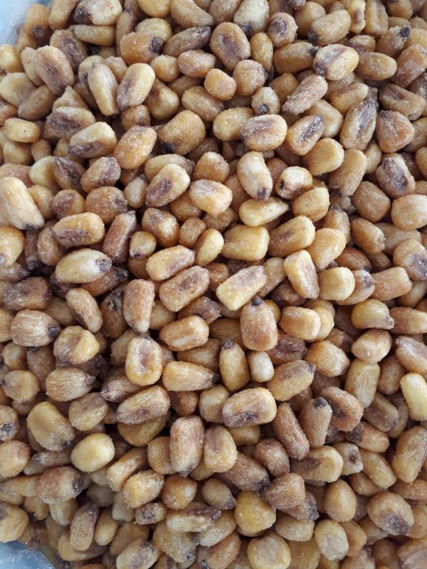 PHOTO-2020-12-01-15-09-21