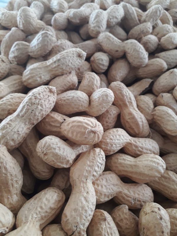 thumbnail_PHOTO-2020-12-05-08-44-11