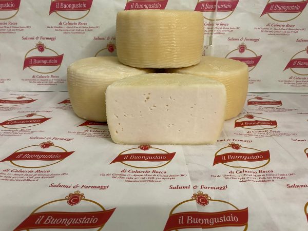 PHOTO-2023-09-12-22-40-42 (1)